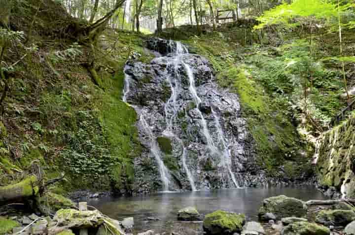 �����̑�